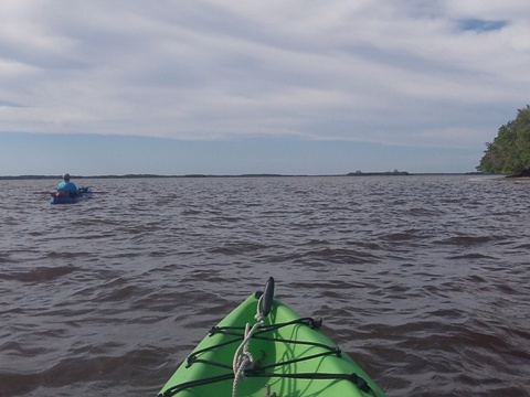 paddling Everglades City, Chokoloskee Bay, kayak, canoe