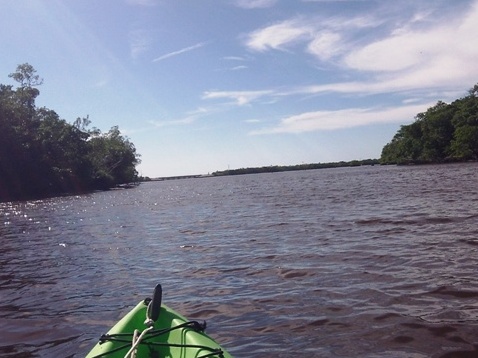 paddling Everglades, Halfway Creek, kayak, canoe