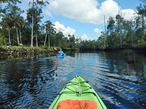 paddling Waccasassa River, kayak, canoe