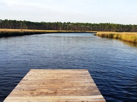 paddling, Apalachicola River WEA, Cash Creek