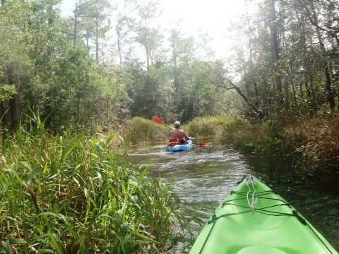Paddle Florida Panhandle, Boiling Creek - Kayak, Canoe