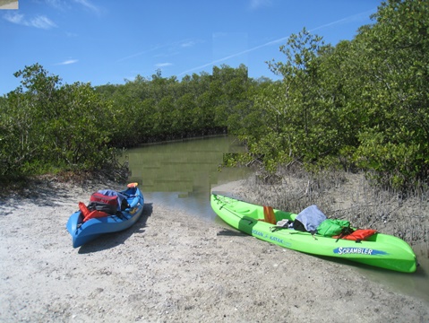 Paddle Estero Bay, Big Hickory Island - Kayak, Canoe