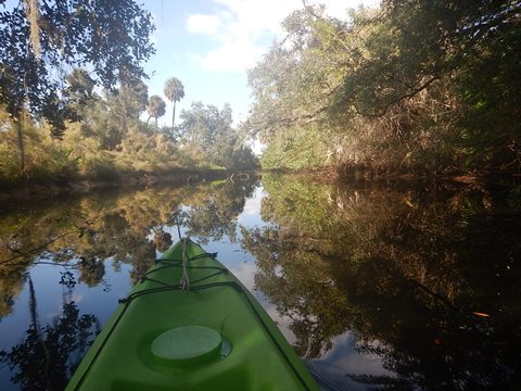 Great Calusa Blueway - 
			Telegraph Creek - paddle florida, kayak, canoe