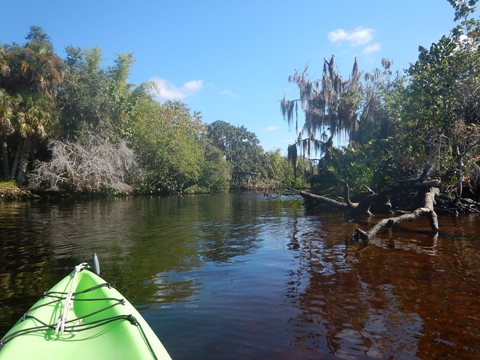 Telegraph Creek, FL kayak