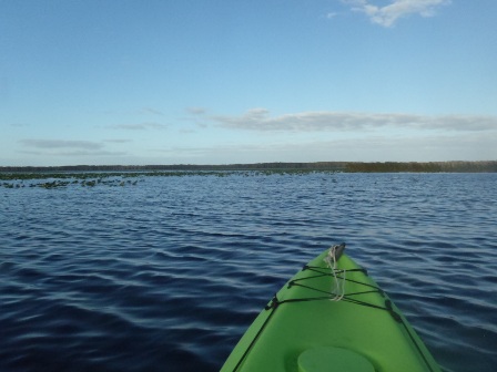paddling Arbuckle Lake, kayak, canoe