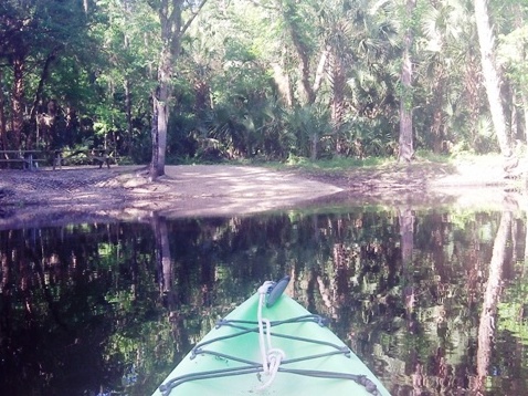 Black Water Creek, Seminole State Forest