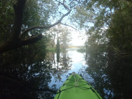 Blackwater Creek, Lake Norris, Seminole State Forest