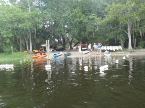 paddling St. Johns River, Blue Spring, kayak, canoe