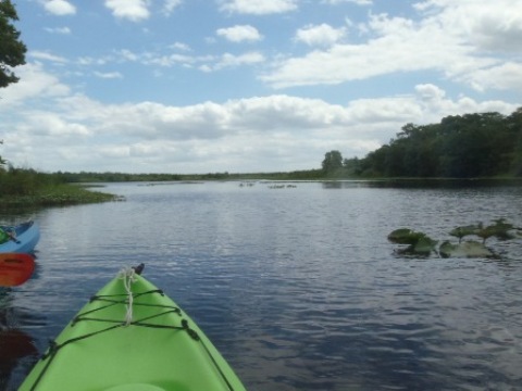 paddling St. Johns River, Blue Spring, kayak, canoe