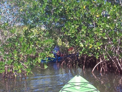 paddling Cocoa Beach, 1000 Islands, kayak, canoe