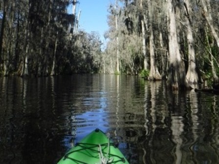 paddle Dora Canal