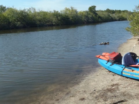 paddling Merritt Island National Wildlife Refuge, kayak, canoe