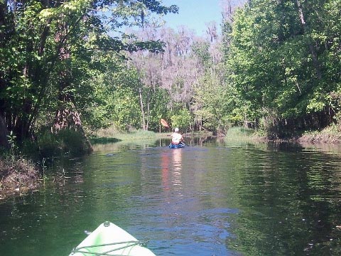 paddling Shingle Creek, Steffee Landing to Babb Park