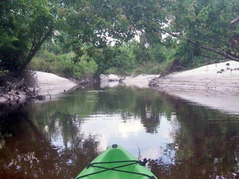 paddling Shingle Creek, North from Marsh Landing