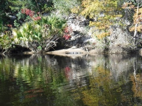 paddling Spruce Creek, Cracker Creek