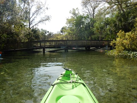 paddling Wekiva River