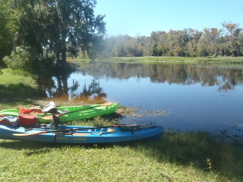paddling Wekiva River, Katie's Landing