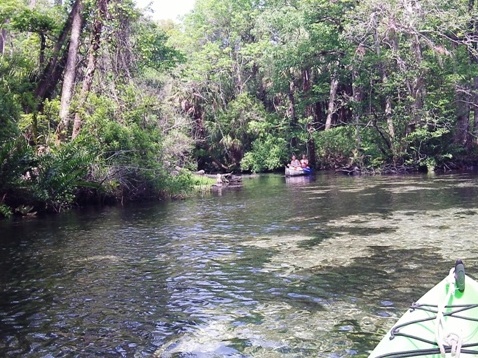 paddling chassahowitzka River, No-Name Spring, kayak, canoe