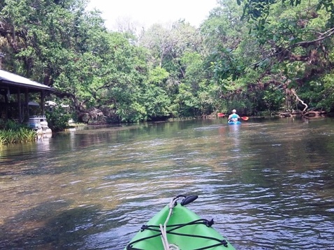 paddling chassahowitzka River, crab creek, kayak, canoe