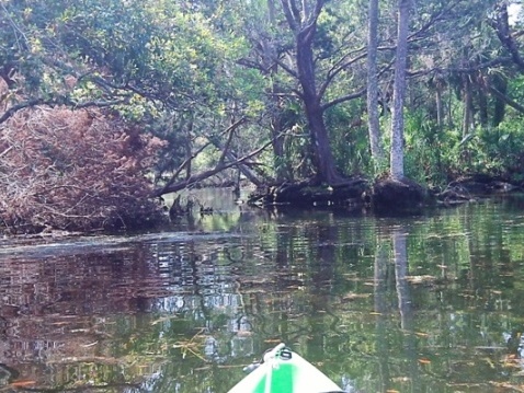 paddling chassahowitzka River, Baird Creek, canals, kayak, canoe