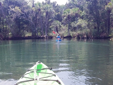 paddling chassahowitzka River, Blue Spring, canals, kayak, canoe