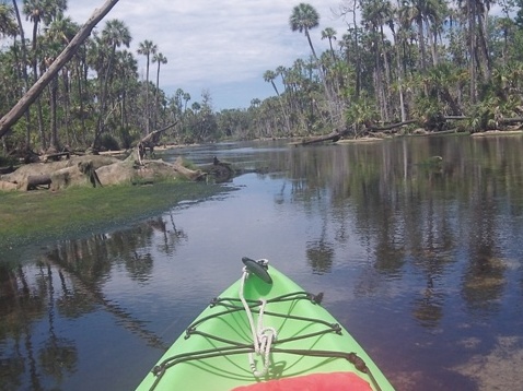 paddling chassahowitzka River, Potter Creek, kayak, canoe