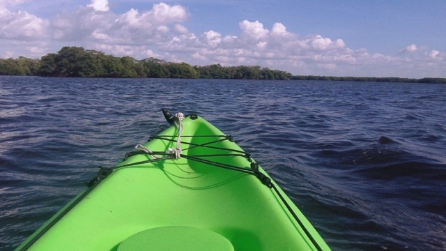 paddling Cockroach Bay, kayak, canoe