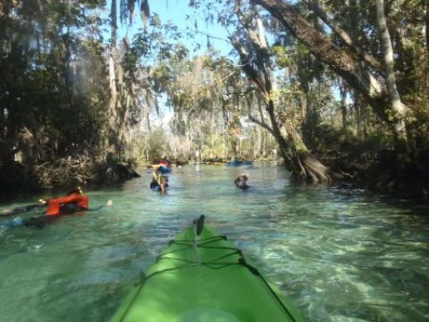 paddling Crystal River, kayak, canoe