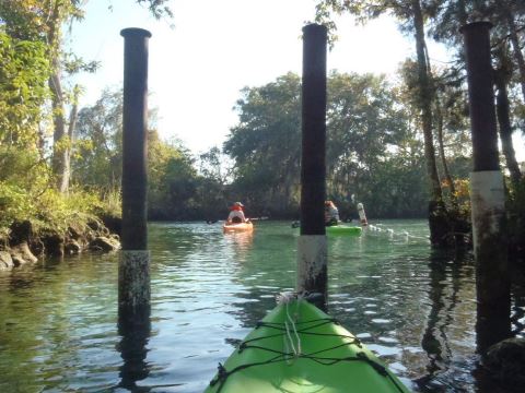 paddling Crystal River, kayak, canoe
