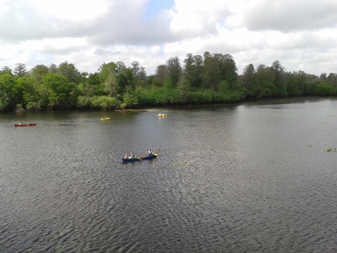 paddling Hillsborough River
