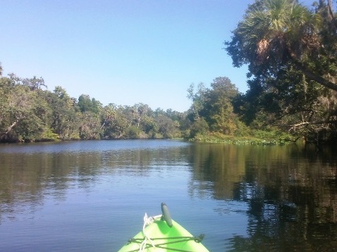 paddling Little Manatee River, kayak, canoe