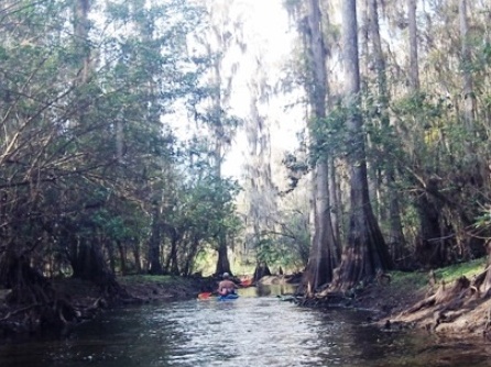 paddle Peace River, kayak, canoe