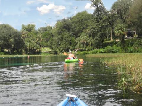 paddling Rainbow River, kayak, canoe