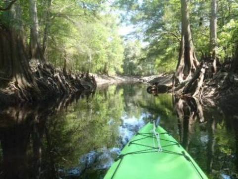 Paddle Withlacoochee River-south, Lacoochee