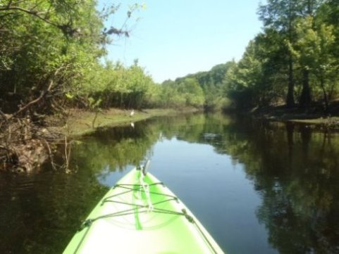 Paddle Withlacoochee River-south, Lacoochee
