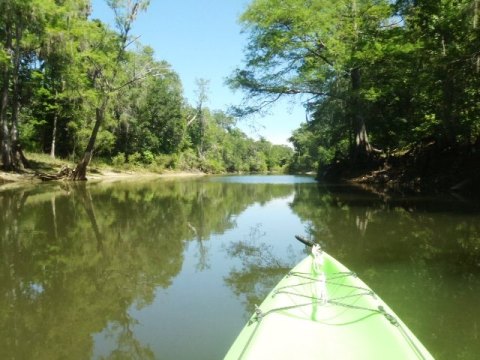 Paddle Withlacoochee River, Silver Lake