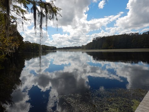 Paddle Withlacoochee River-south, Carlson Landing, Wysong Dam