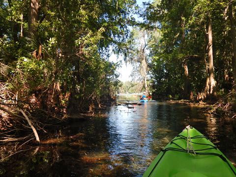 Paddle Withlacoochee River-south, Lake Rousseau