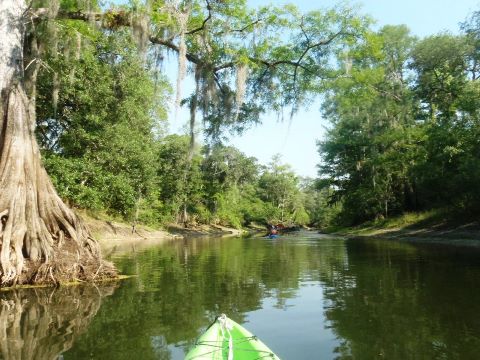 Paddle West-Central Florida, Withlacoochee River