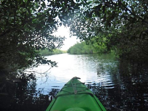 Paddle Everglades, East River - Kayak, Canoe