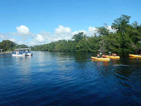Paddle Everglades, Flamingo - Kayak, Canoe