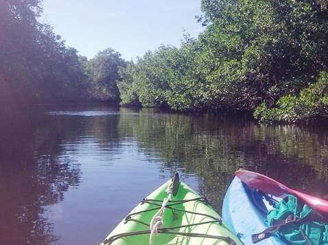 Paddle Everglades, Big Cypress, Halfway Creek - Kayak, Canoe