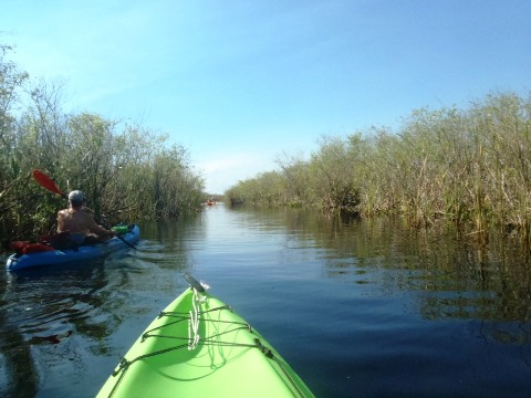 Paddle Everglades, Loxahatchee National Wildlife Refuge, kayak, canoe, Florida