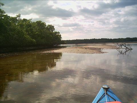 paddling Everglades, Mud Bay, kayak, canoe