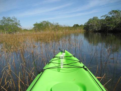 Paddle Everglades, Nine Mile Pond, kayak, canoe, Florida