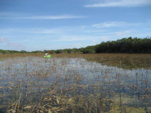 paddling Everglades, Nine Mile Pond, kayak, canoe