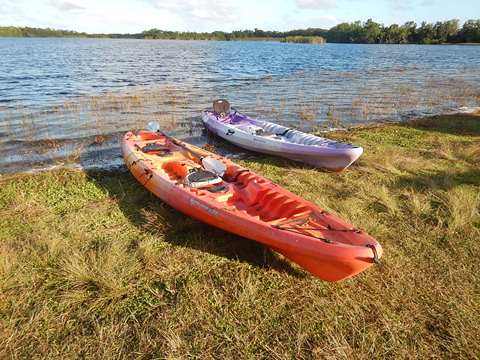 paddling Everglades, Nine Mile Pond, kayak, canoe