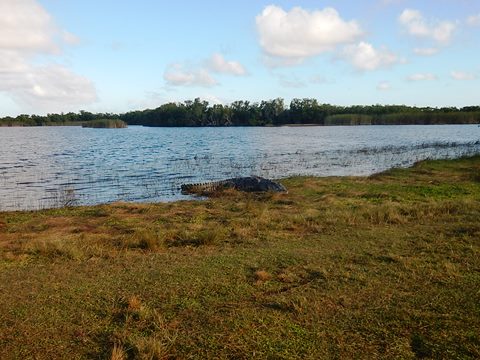 paddling Everglades, Nine Mile Pone, kayak, canoe