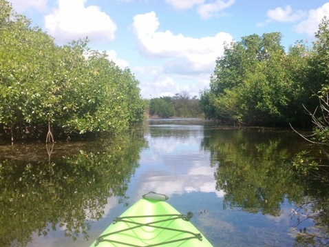 paddle, kayak, canoe, Turner River-Big Cypress-Everglades