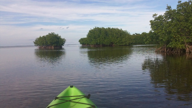 paddling Bahia Honda, Florida Keys, kayak, canoe